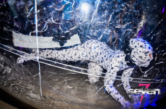 Cliquer pour voir l'image en taille réelle