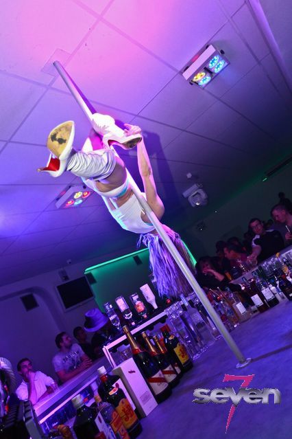 Cliquer pour voir l'image en taille réelle