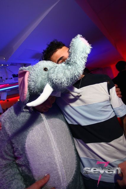 Cliquer pour voir l'image en taille réelle