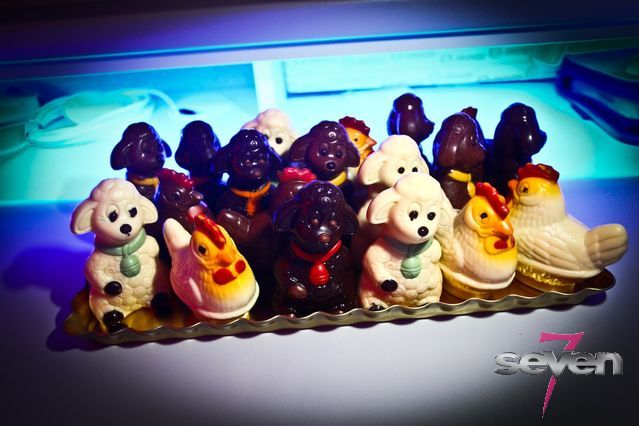 Cliquer pour voir l'image en taille réelle